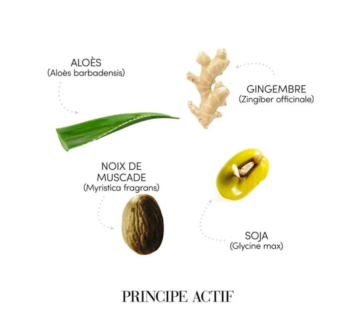 Shampoing sébo-équilibrant "Requilibre"