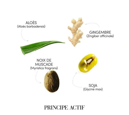 Shampoing sébo-équilibrant "Requilibre"