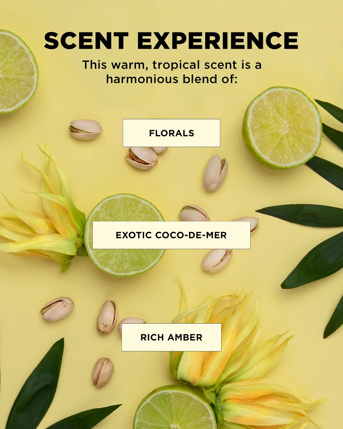 Design Me Ornement Duo boucles et définition pour la douche